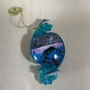 Crystal Waters of Maui Above and Below Dolphin Ornament Christian Riese Lassen